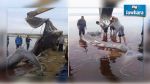Un poisson cannibale échoue sur une plage de Djerba