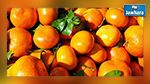 Les exportations d'agrumes reculent de 21%