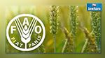 FAO : L'indice des prix alimentaires stable en février 