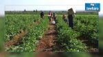 Dimassi : L'agriculture est le seul secteur qui s'est développé après la révolution