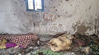 Des images de la maison théâtre des affrontement armés à El Benneri à Ben Guerdane