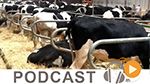 Business News du samedi 02 avril 2016