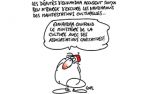 Caricature du lundi 16 mai 2016