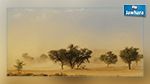 Phénomènes locaux de sable au Sud tunisien