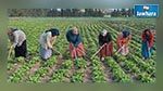 Ministre de la Femme : 85% des femmes rurales travaillent sans salaires