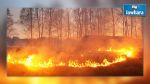 Ariana : Un gigantesque incendie ravage près de 3 Ha de forêt