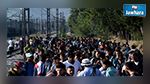 Grèce : Des réfugiés maghrébins se présentent comme Syriens