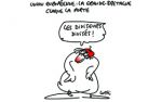 Caricature du dimanche 26 juin 2016