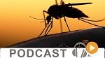 Micro Jawhara du lundi 27 juin 2016