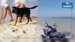 Lancement d'une campagne pour l'interdiction des quads et des chiens dans les plages de Nabeul