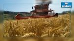 La collecte des céréales en Tunisie en progression de 80%