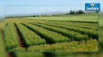 Yassine Brahim dément l’intention du gouvernement de permettre aux investisseurs étrangers de posséder des terres agricoles