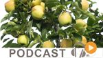 Business News du lundi 1er août 2016