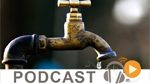 Business News du lundi 15 août 2016