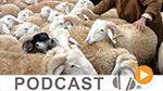 Business News du samedi 20 août 2016 