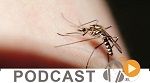 Micro Jawhara du jeudi 6 octobre 2016