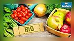 Agriculture Bio : Un secteur prometteur en Tunisie 