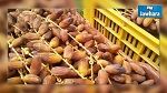 Exportation des dattes : Nouveau record enregistré 