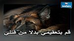 Tunis : Une caravane de sensibilisation à la protection des animaux