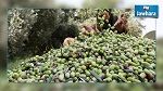 Baisse de la récolte des olives à Mahdia