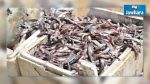 Monastir: Saisie d'environ une tonne de poissons impropres à la consommation