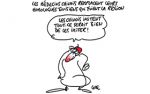 Caricature du Samedi 5 Novembre 2016