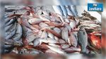 Teboulba: Saisie de 2,4 tonnes de poissons importés de la Libye