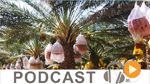 Journal Info 19h00 du lundi 14 novembre 2016