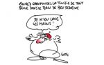 Caricature du dimanche 20 novembre 2016