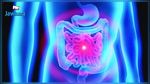 Un intestin humain recréé à partir de cellules souches