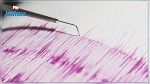 Egypte : Tremblement de terre de magnitude 4,7
