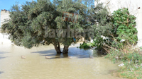 Monastir : Des habitants évacués à cause de la pluie