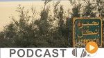 Journal Info 19h00 du Jeudi 1er Décembre 2016