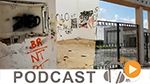El Radar du vendredi 23 décembre 2016