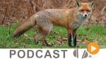   Klem Gayess du mardi 03 Janvier 2017