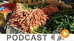 Micro Jawhara du vendredi 3 février 2017