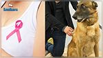 Les chiens pourraient dépister le cancer du sein? Voici les détails