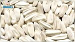 Mahdia : Saisie de 580 sacs de graines de tournesol blanches de Turquie
