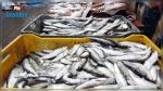 Mahdia : Saisie de 580 kg de poissons avariés