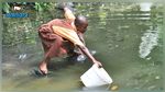 OMS : Deux milliards de personnes boivent une eau contaminée