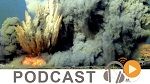 Journal Info 19h00 du jeudi 13 avril 2017
