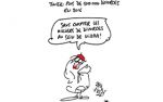 Caricature du vendredi 21 avril 2017