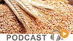 Journal Info 12h00 du vendredi 12 Mai 2017