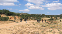 Entraînements des forces de la base militaire de Bouficha 