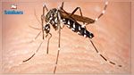 Virus Zika : L'OMS confirme les premiers cas en Inde