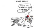 Caricature du mardi 30 Mai 2017