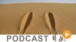Journal Info 12h00 du jeudi 1er juin 2017