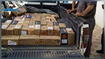 Kasserine : Saisie de 17 mille cartouches pour fusils de chasse 