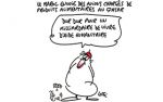 Caricature du mercredi 14 Juin 2017