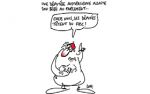 Caricature du vendredi 23 juin 2017